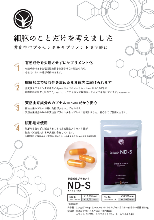 ND-S パンフレット